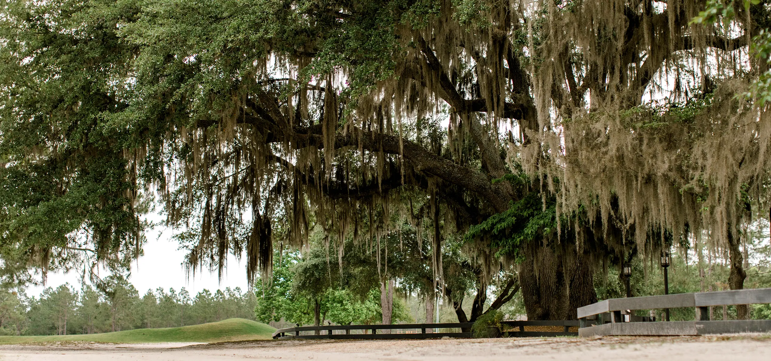 accommodations-live-oak-plantation