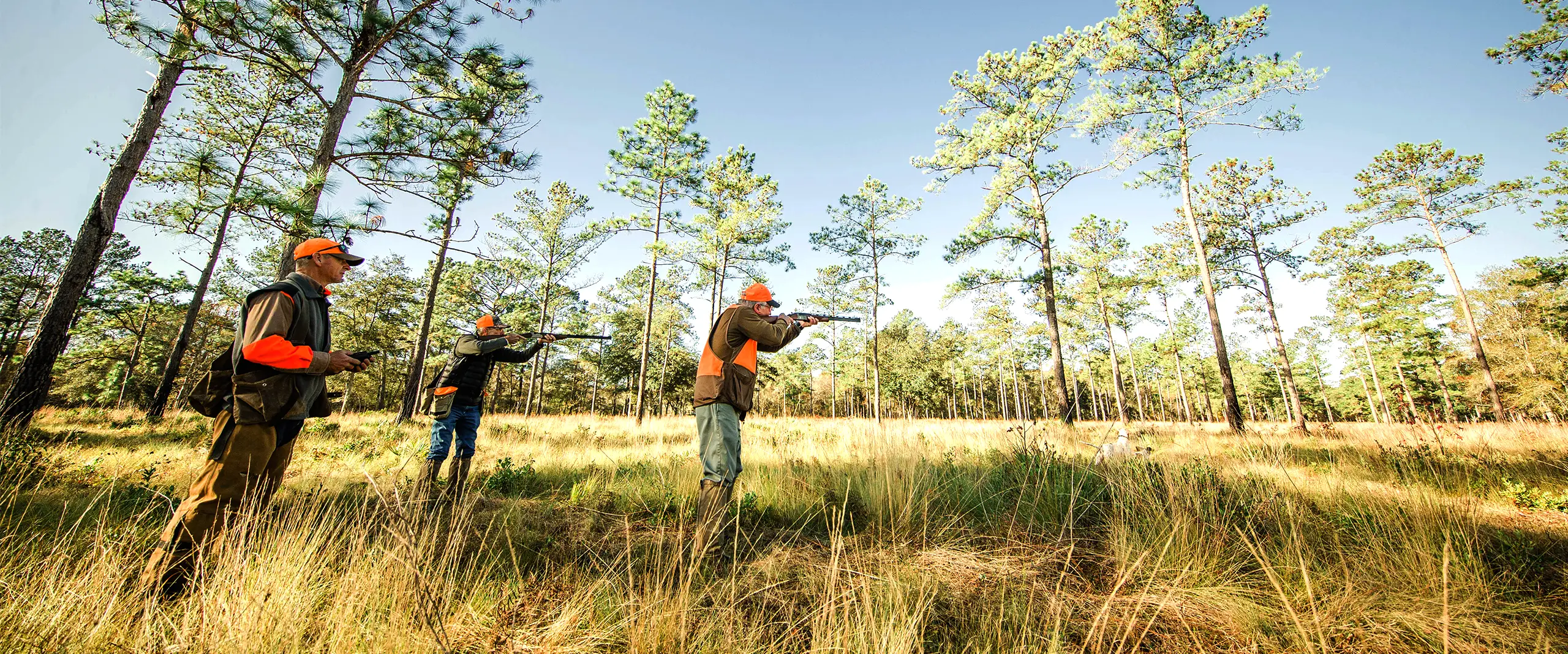 HUNT Live Oak Plantation hunt-live-oak-plantation