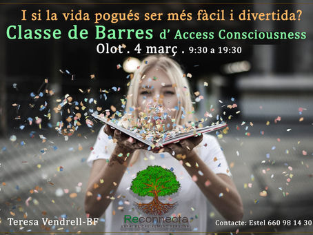 FORMACIÓ BARRES D'ACCESS