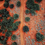 Thumbnail: Drone Photography/Videography Service