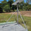 Thumbnail: StarLink Internet Roof-Top Installation