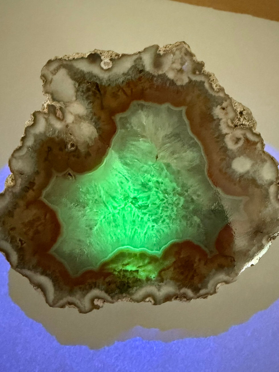 Puma Agate from Argentina
