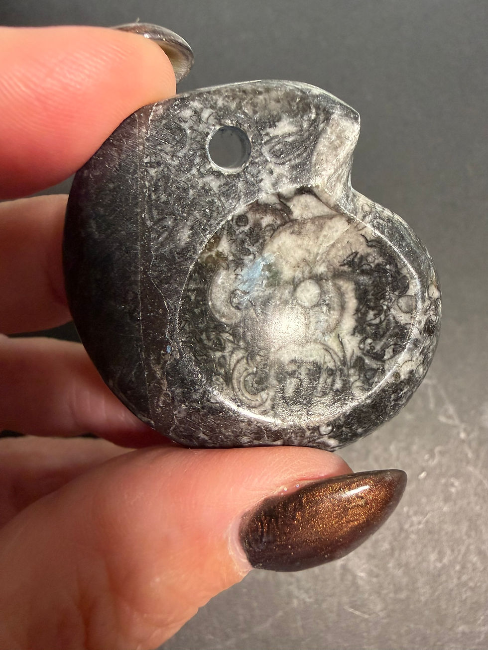 Ammonite Fossil Shell Pendants