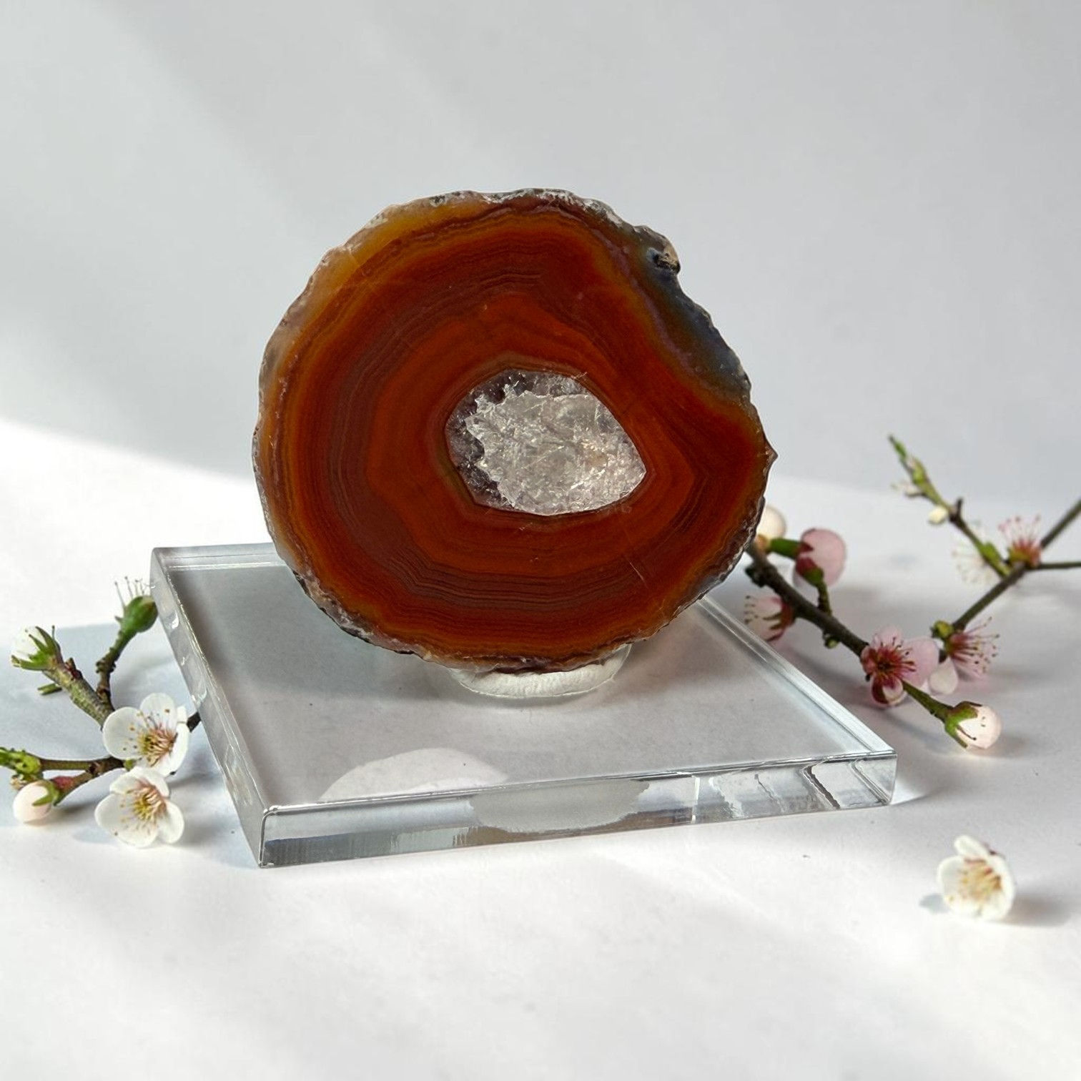 Condor Agate from Patagonia Argentina