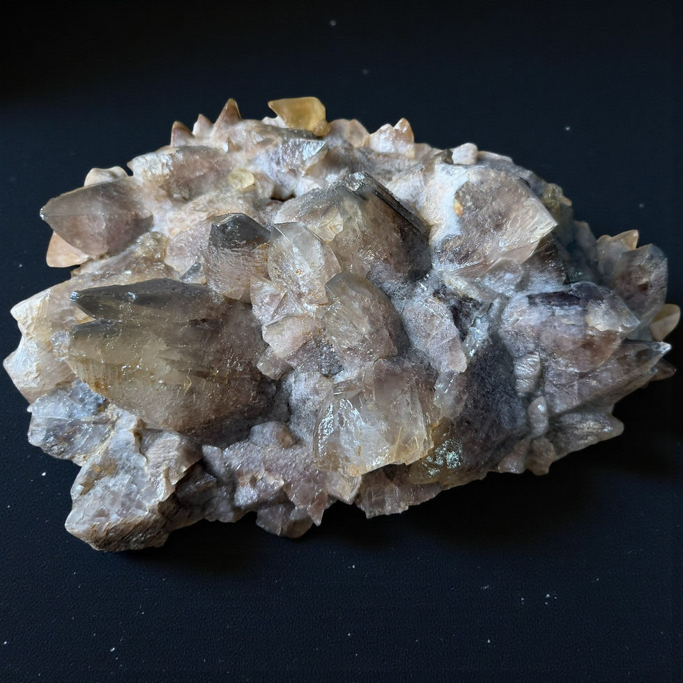 Black Dragon's Tooth Calcite from Morocco