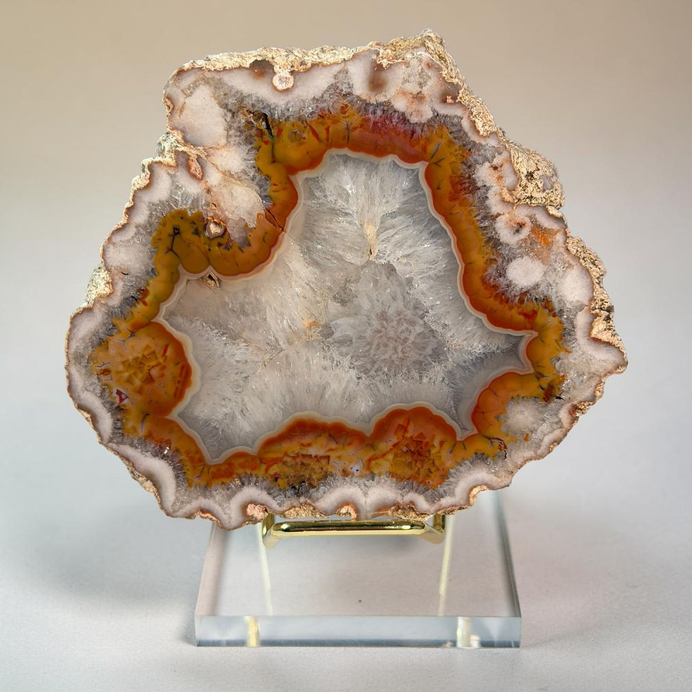 Puma Agate from Argentina