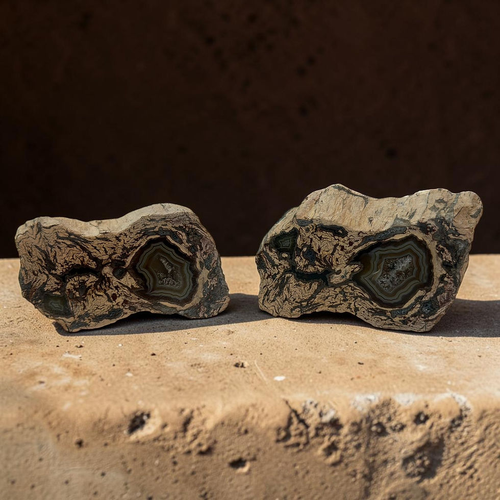 Moroccan Fortification Agate Specimens