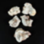 Fluorescent Hyalite Opal Mineral Specimen