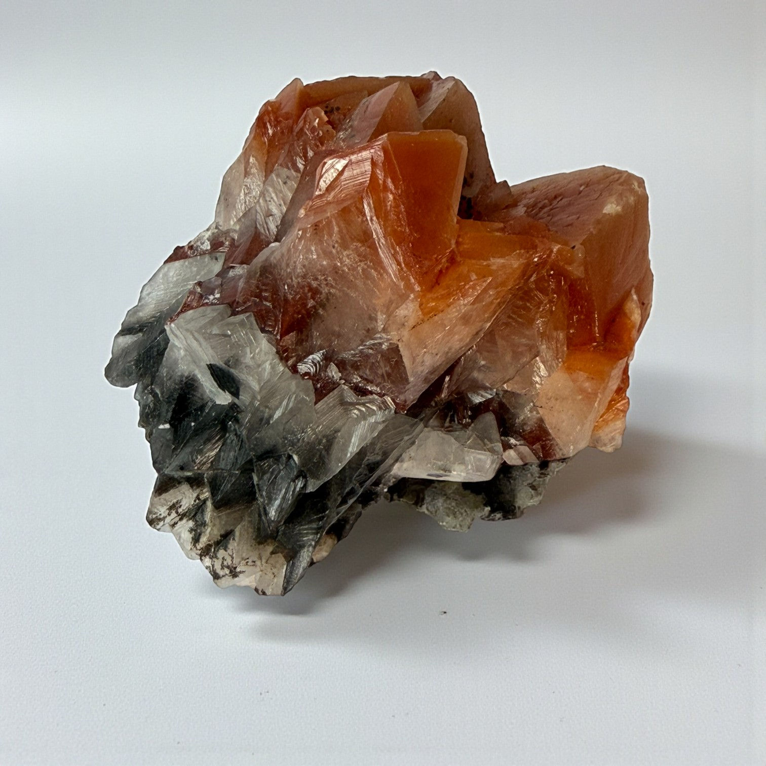Monarch Butterfly Calcite