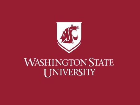 WSU 2020 Digital Hackathon, pt. 2