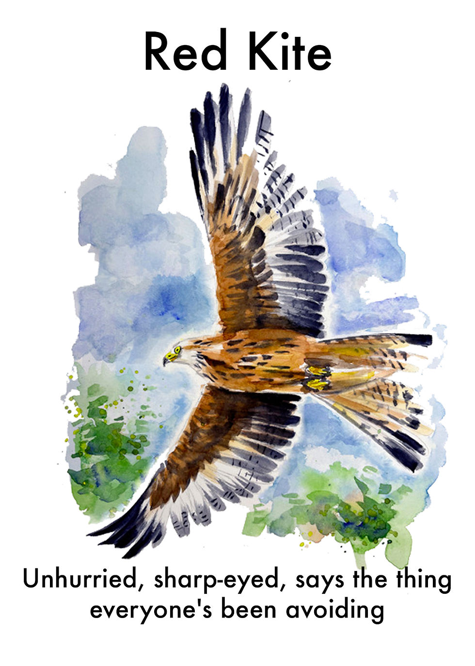 Red Kite