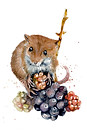 harvest mouse berries.jpeg