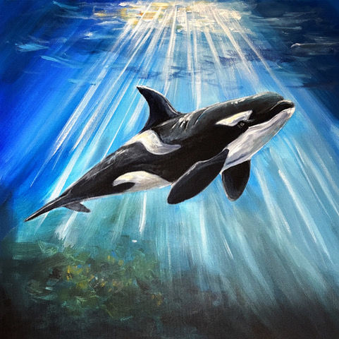 Orca