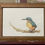 Thumbnail: Kingfisher (Branch) Print