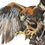 Thumbnail: Eagle