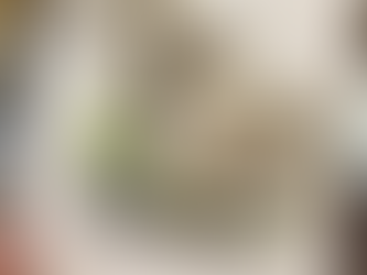 Meet Elizabeth’s Buzzard: The Surprise Guest of the Countryside