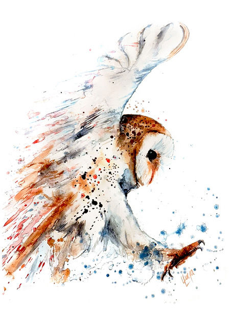 Owl Swooping Print