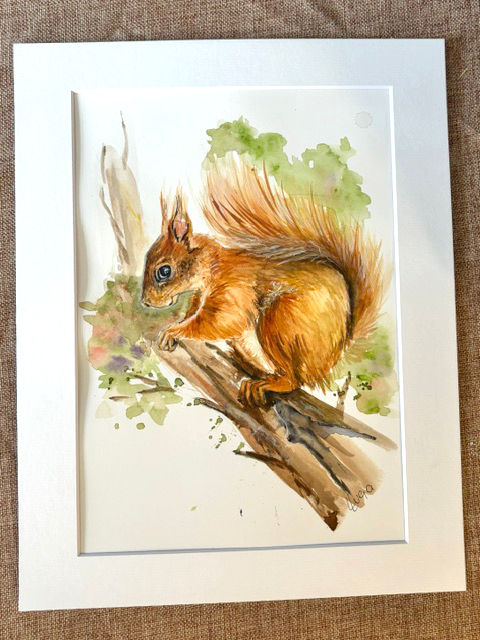 Thumbnail: Red Squirrel