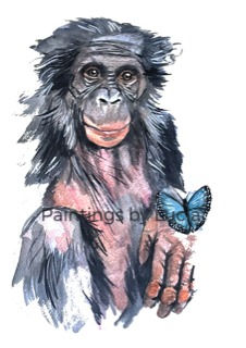 Bobobo NO SIG_edited