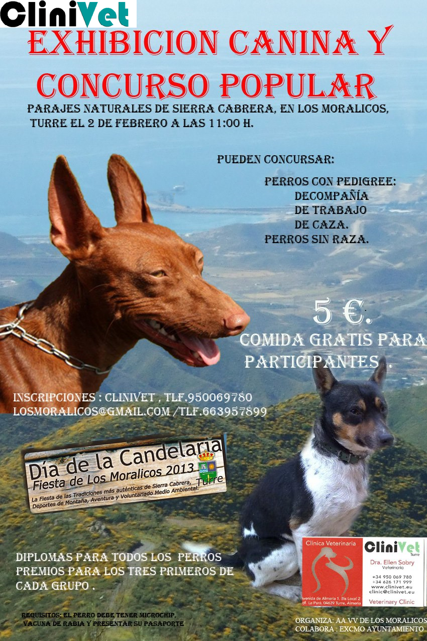 Evento - Concurso Feb