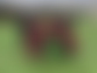 E-Jugend feiert tollen Sieg zum Abschluss der Hinrunde!