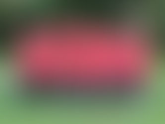 Unsere Neuzugänge für unsere 1. & 2. Mannschaft!