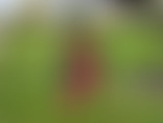 TuRa Heiden gedenkt den verstorbenen Mitgliedern