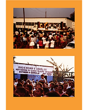 Divulgação Oficinas (FEED) (16).png