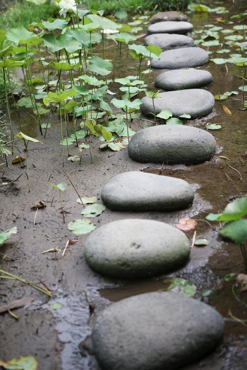 Chemin de pierre pittoresque sur l"eau en Indonésie 