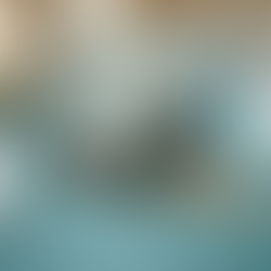 מעבר לביומכניקה: הקשר הקוונטי שבין שיטת Embryo Balance למוליכות המים