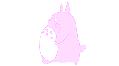 Totoro Gallary Kawaiiyourlife