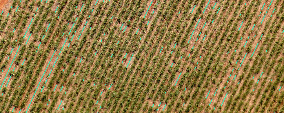 Soluções para Agricultura