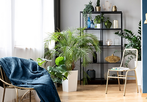 Urban Home with Plants_edited.png