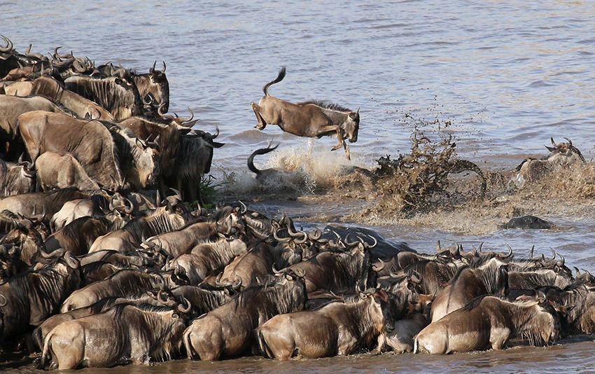 3 Days Bush safari in Africa