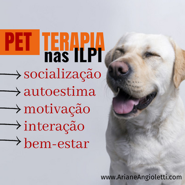 Pets podem ser residentes nas ILPI?