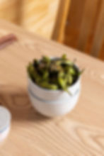 Charred Edamame(GF/DF/V)