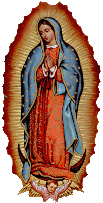 imágenes-de-la-Virgen-de-Guadalupe-Reyna