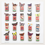 Butterfly and Moth Matchbox Piece (medium)