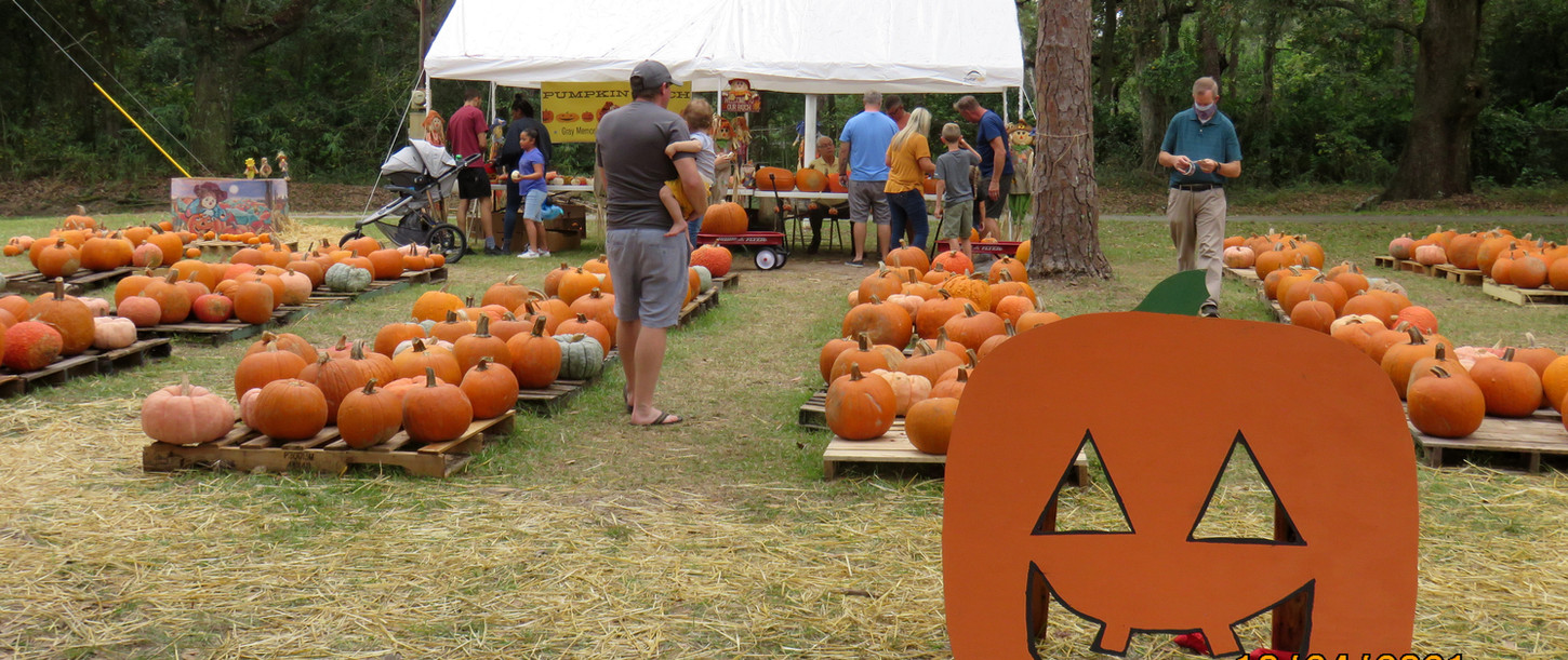 Gray Memorial Pumpkin Patch