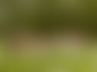 Origami Aquém aposta nas melodias no EP A Melhor Música que Já Fizemos (E Outras Quatro)