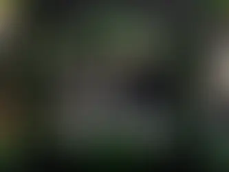 Summer Breeze Brasil 2024 anuncia Killswitch Engage, The 69 Eyes, Tygers of Pan Tang e Sinistra