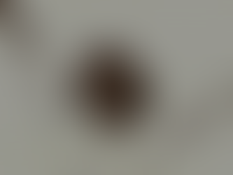 Músicos do rock lamentam a morte de Tina Turner