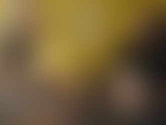 Geddy Lee acompanha baixistas lendários fora dos palcos em nova série