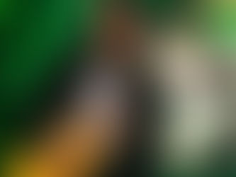 Uma máquina: Kirk Hammett fez mais de 700 riffs para o último disco do Metallica