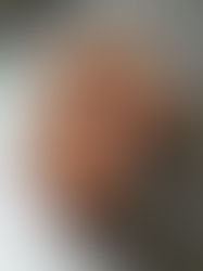 Mousse au chocolat sans gluten ni produits laitiers