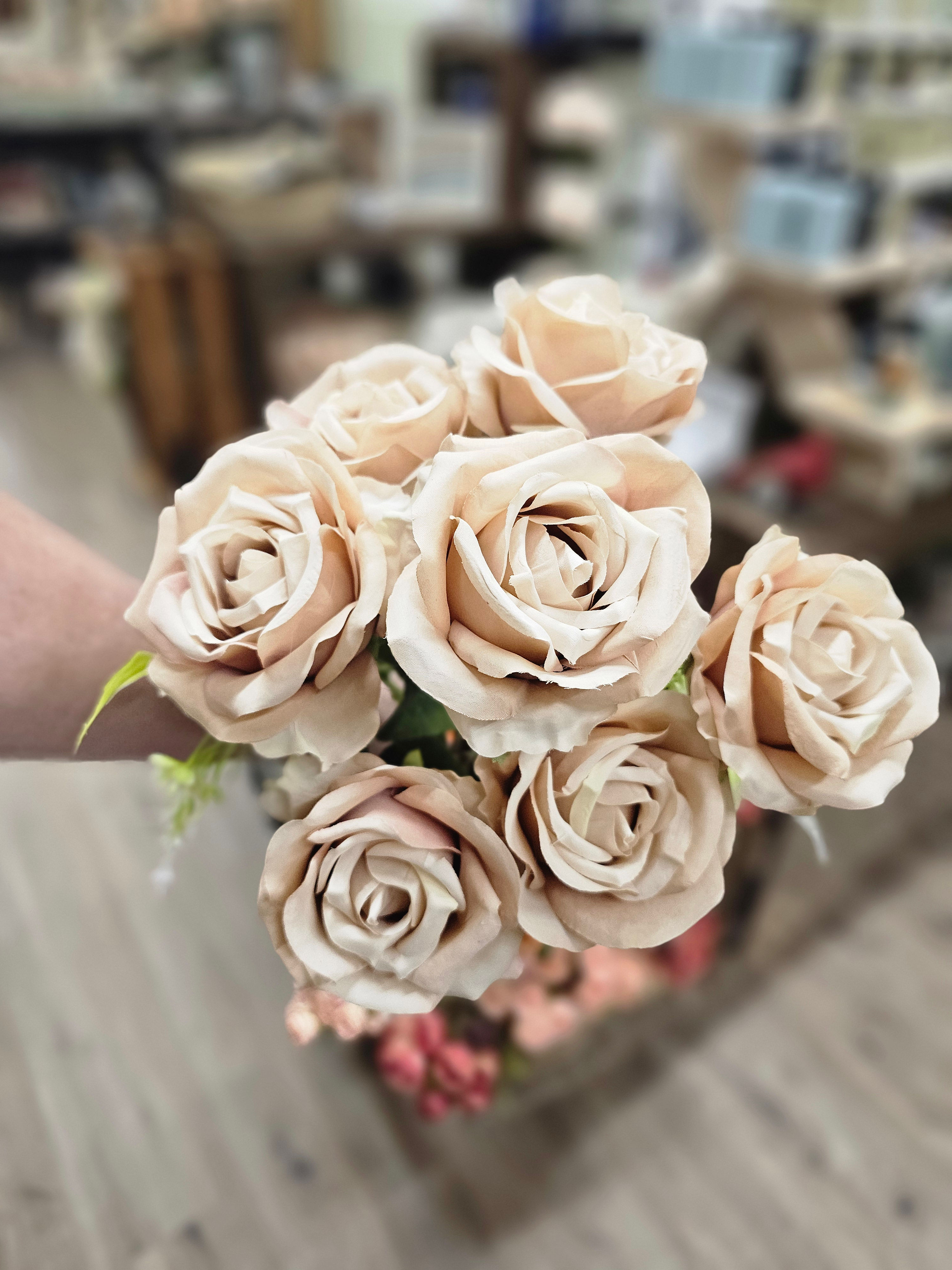 coffee colored rose bush
