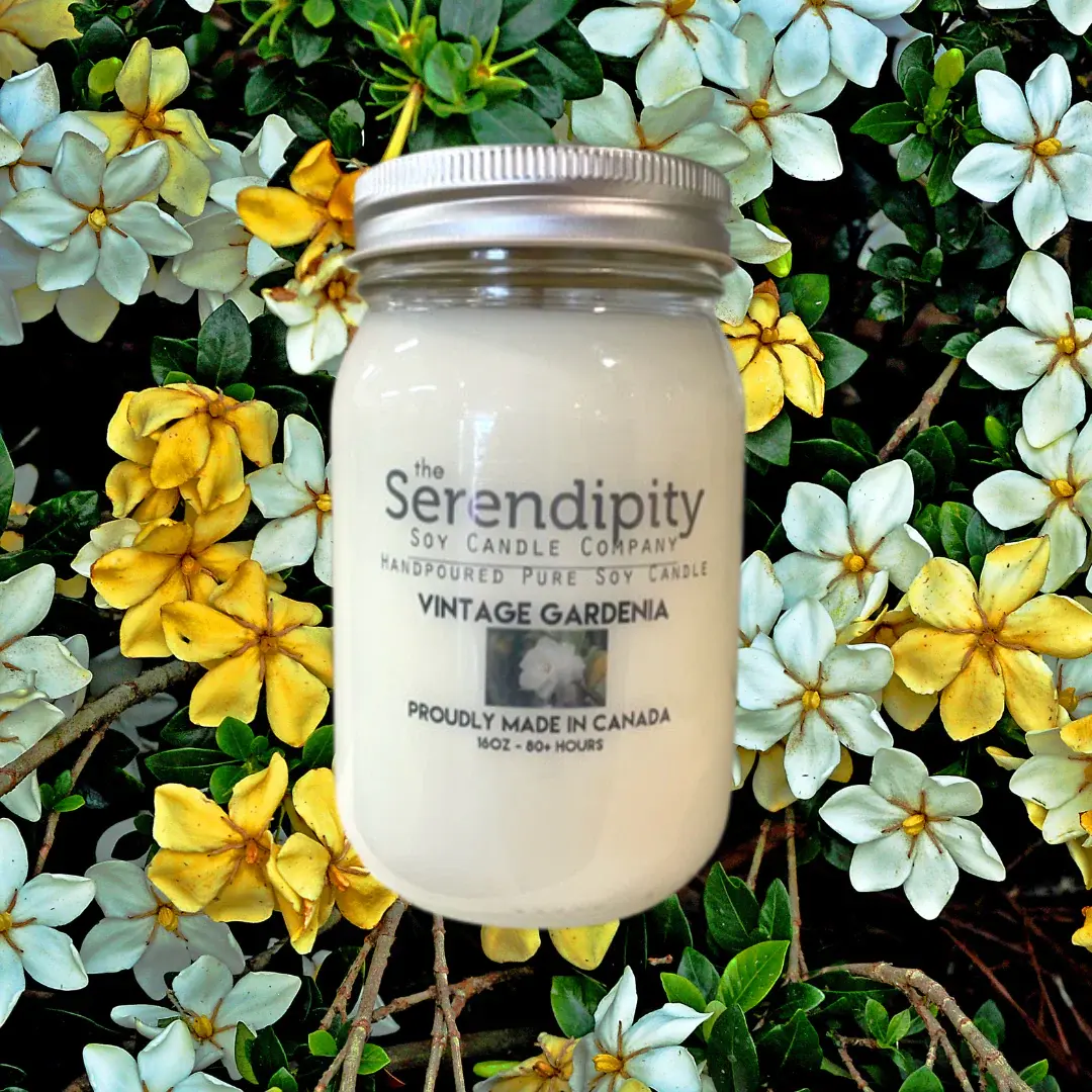 Vintage Gardenia 16 oz