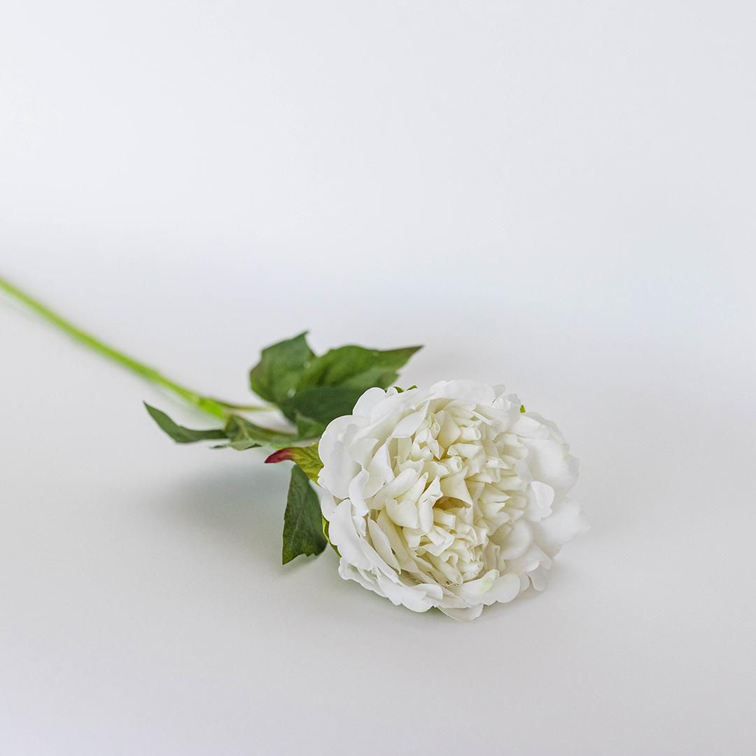 White Real Touch Peony