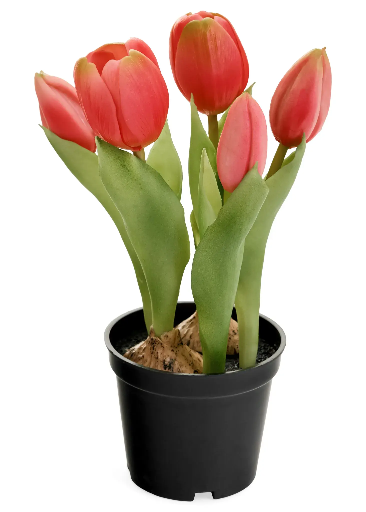 Dark Pink Real Touch Tulip pot