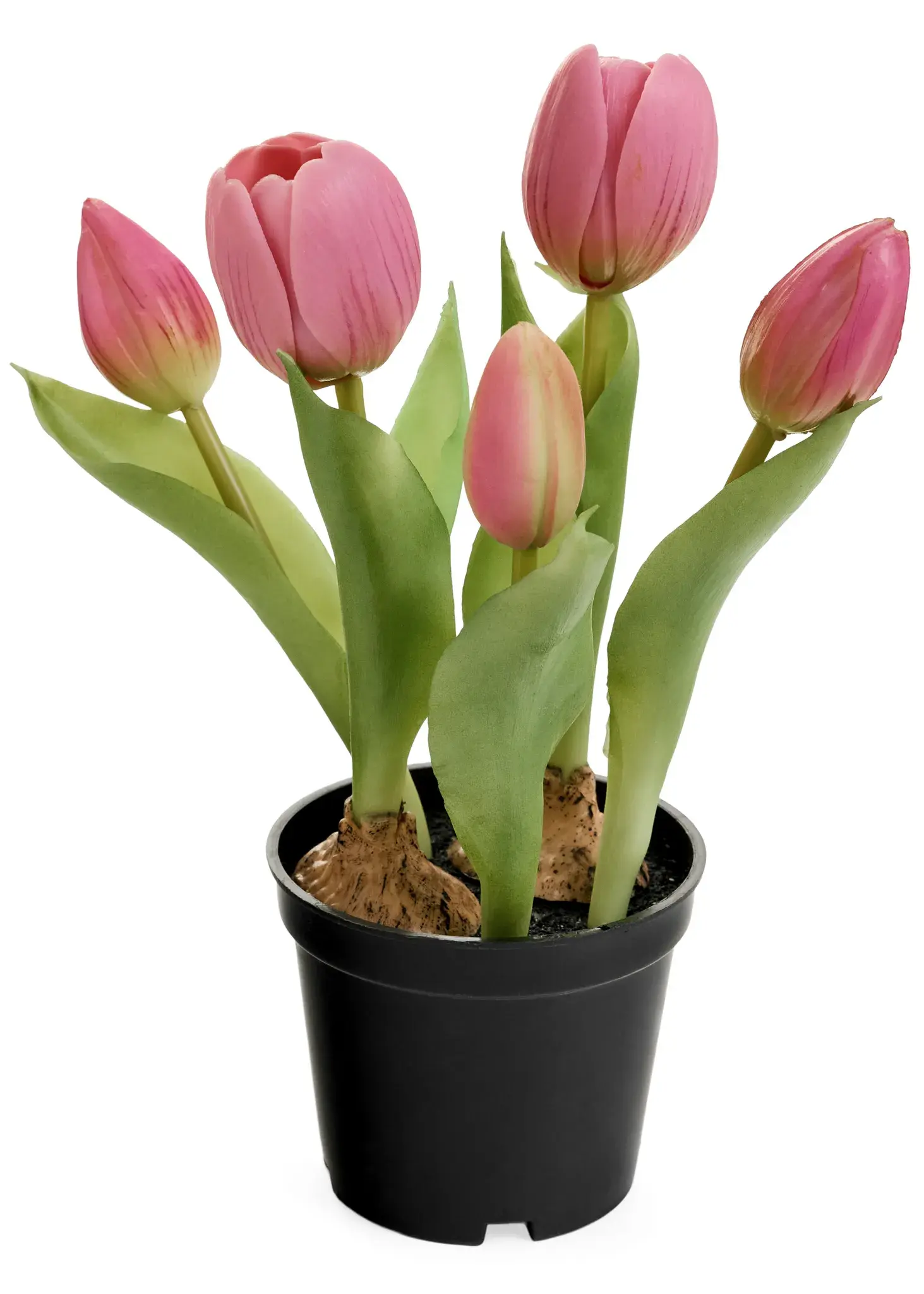 Soft Pink Real Touch Tulip Pot